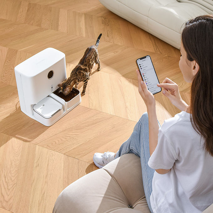 distribuidor automático do alimento 240V com o cão Cat Feeder do controle do App 2