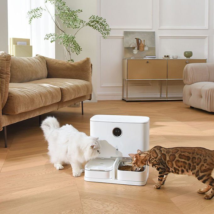 Alimentador de alimentação automático do animal de estimação 6L e exposição do LCD do distribuidor da água para gatos/cães 0