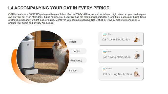 Robô inteligente de companhia para animais de estimação com alimentador de 2,5 L e câmera com zoom digital de 4X 0